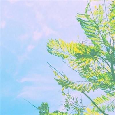 神魔齐天果盘版下载